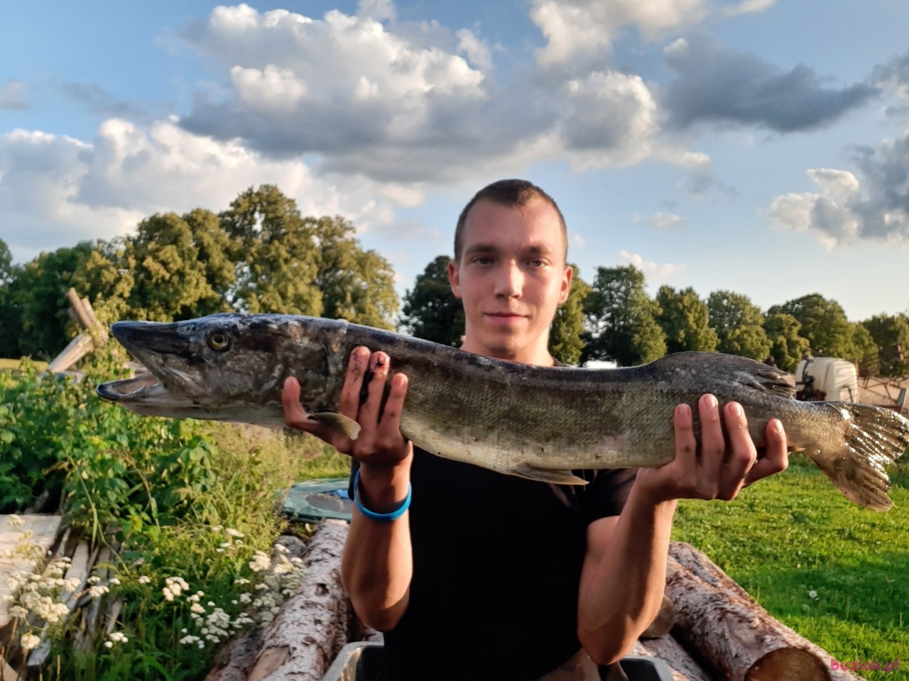 Mateusz, Male, 26, Oleśnica, Polska: 1