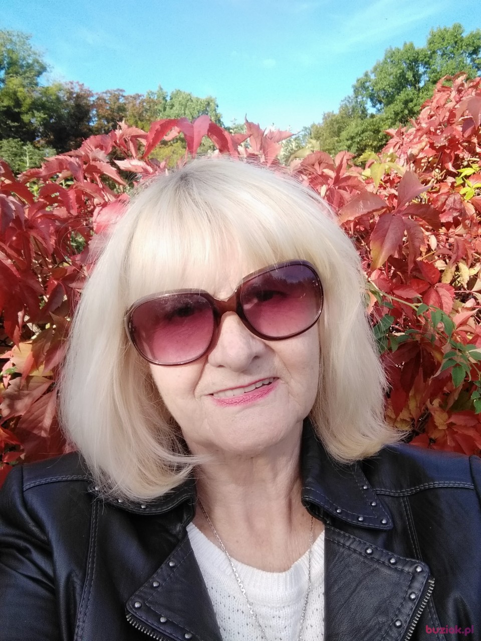 Danuta , Kobieta, 69, Szczytno, Polska, Zdjęcie: 5