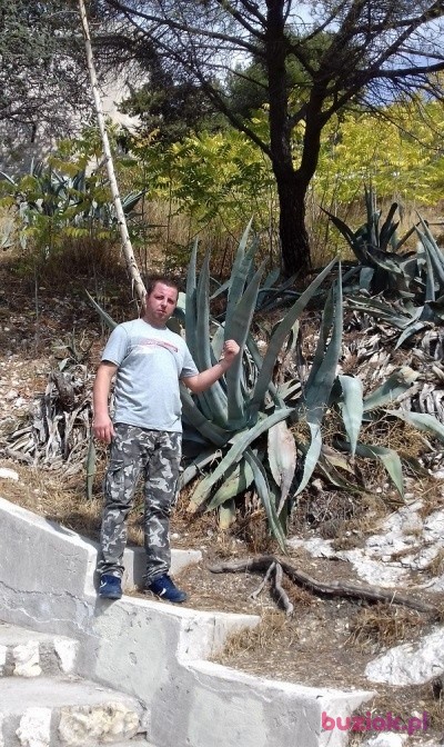 łukasz, Male, 40, Bełżyce, Polska: 1