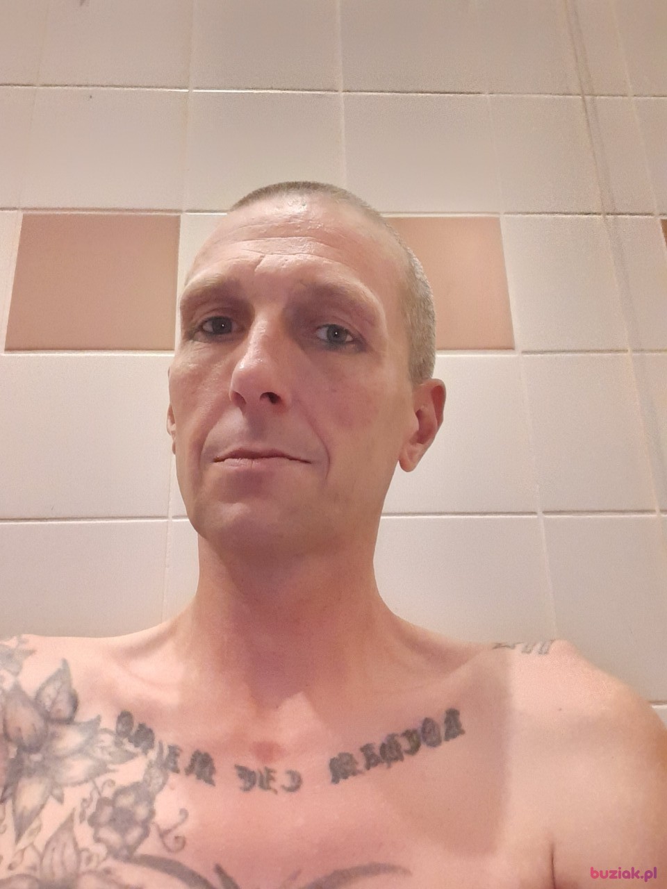 Marcin, Male, 45, Arcen Limburg Province, Holandia: 1