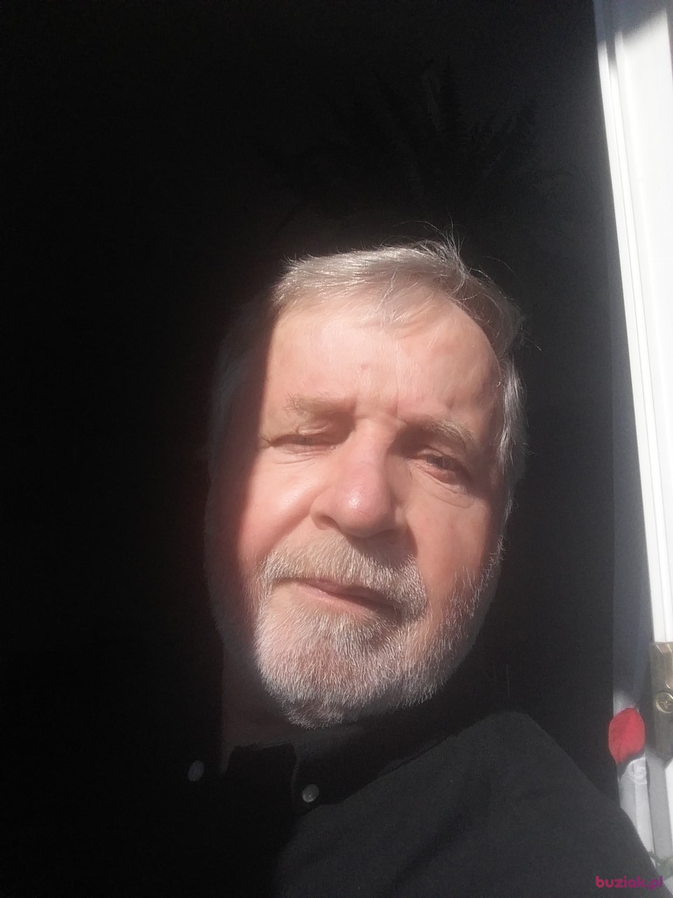 zygmunt, Male, 70, Połaniec, Polska, Photo: 4