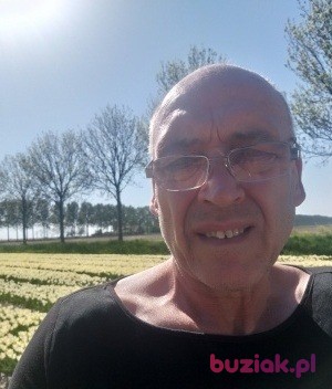 Janusz, Male, 64, Rotterdam South Holland Province, Holandia, Photo: 5