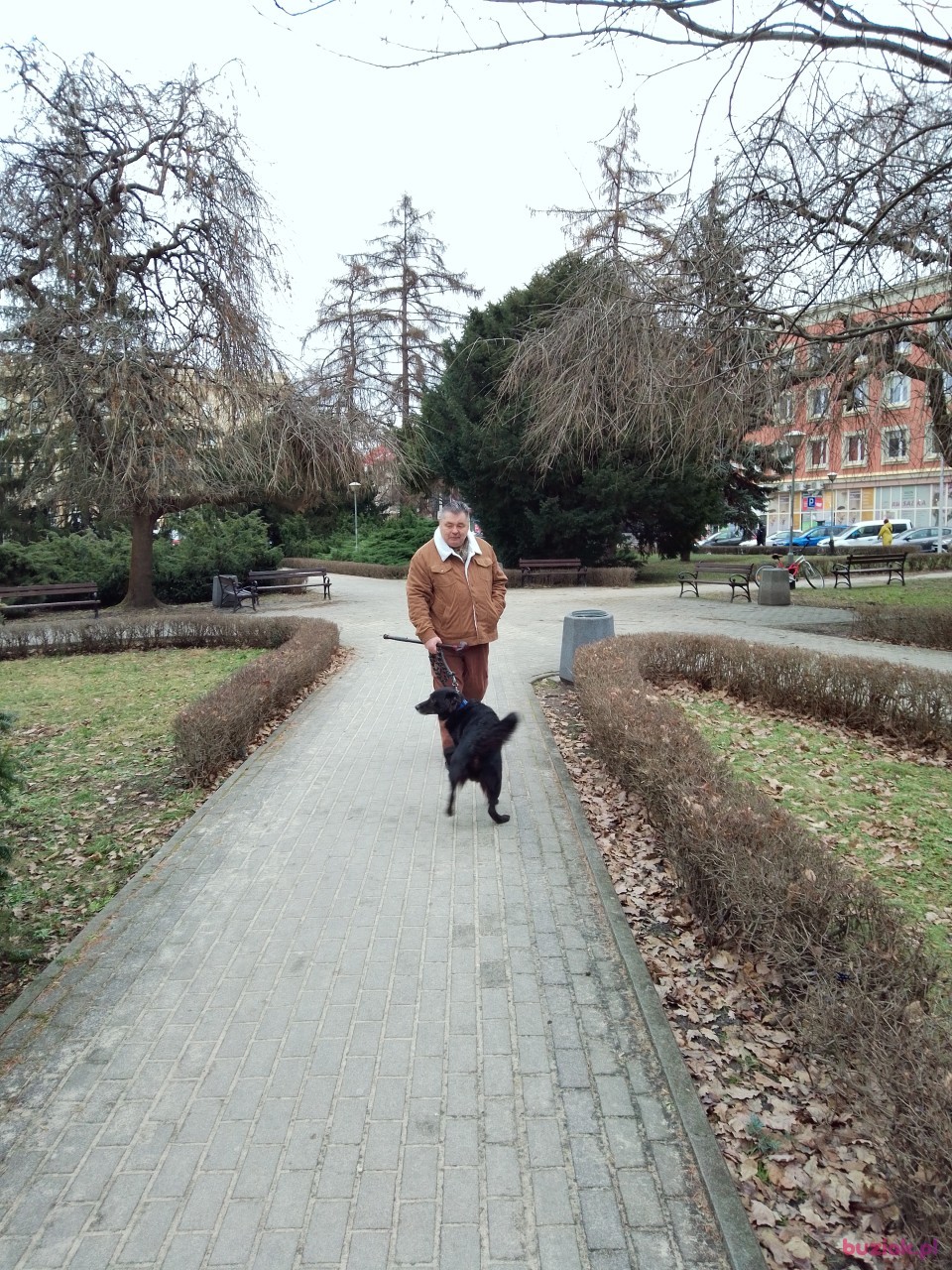 Grzegorz, Male, 65, Rzeszów, Polska, Photo: 9