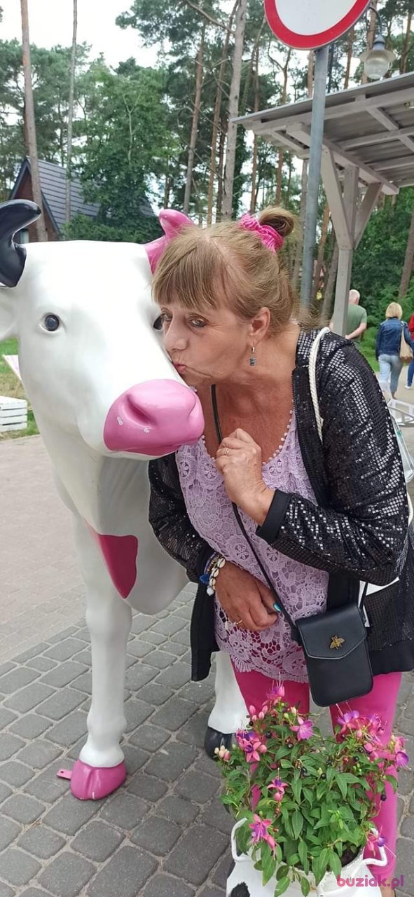 Krynia, Kobieta, 65, Jawor, Polska, Zdjęcie: 8