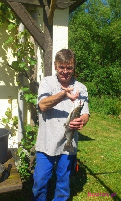 darek, Mężczyzna, 67, Niemcy: 1