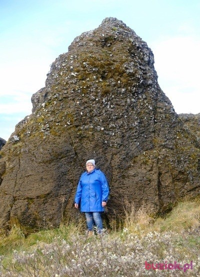 Bozenna, Female, 65, Islandia, Photo: 6