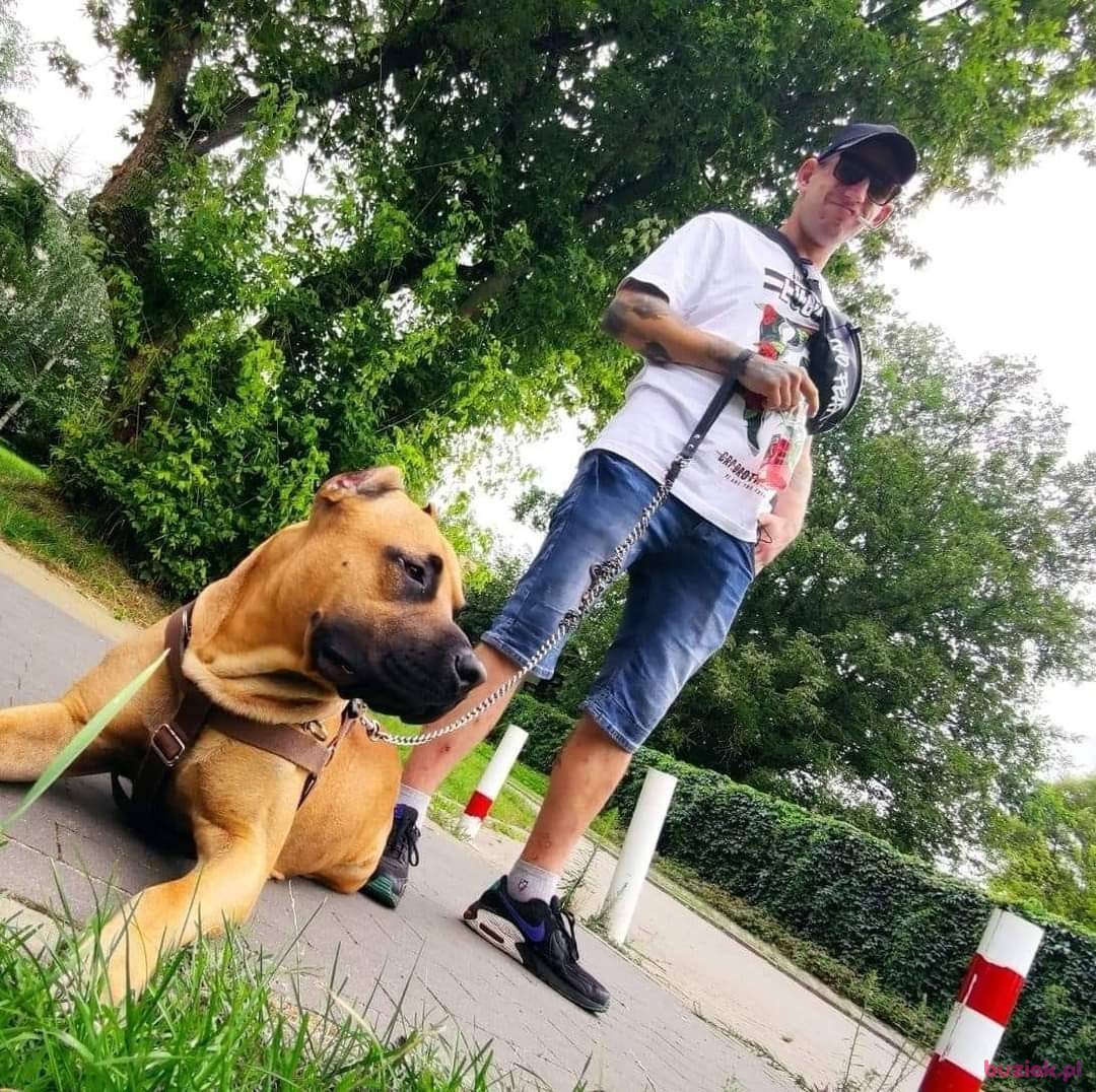 Michał, Male, 32, Skierniewice, Polska, Photo: 2