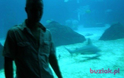 Dawid , Male, 38, Niemcy, Photo: 7