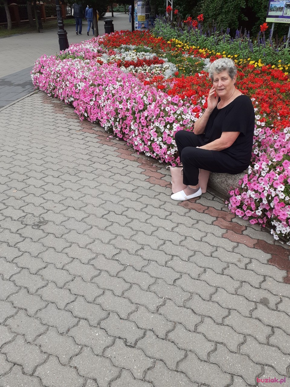 Jadwiga, Kobieta, 69, Warszawa, Polska: 1