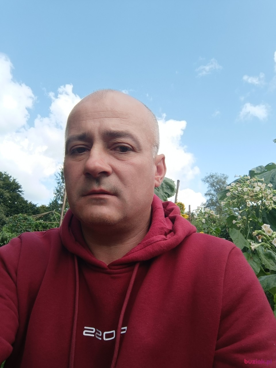 Józef, Male, 43, Hamburg, Niemcy: 1