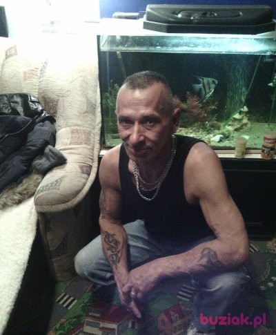grzesiek, Male, 61, Legnica, Polska: 1