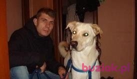 Sebastian, Male, 37, Polska, Photo: 3