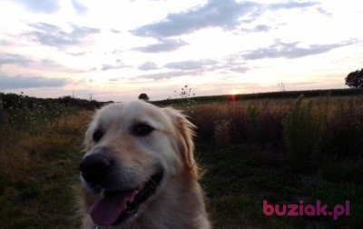 Stephan, Male, 43, Holandia, Photo: 3