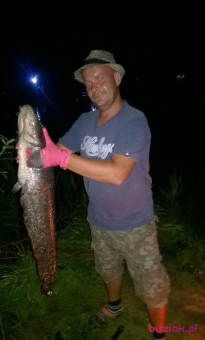 yaro33, Mężczyzna, 41, Kraków, Polska, Zdjęcie: 5