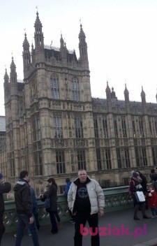 wieslaw, Male, 67, Westminster, Wielka Brytania, Photo: 4