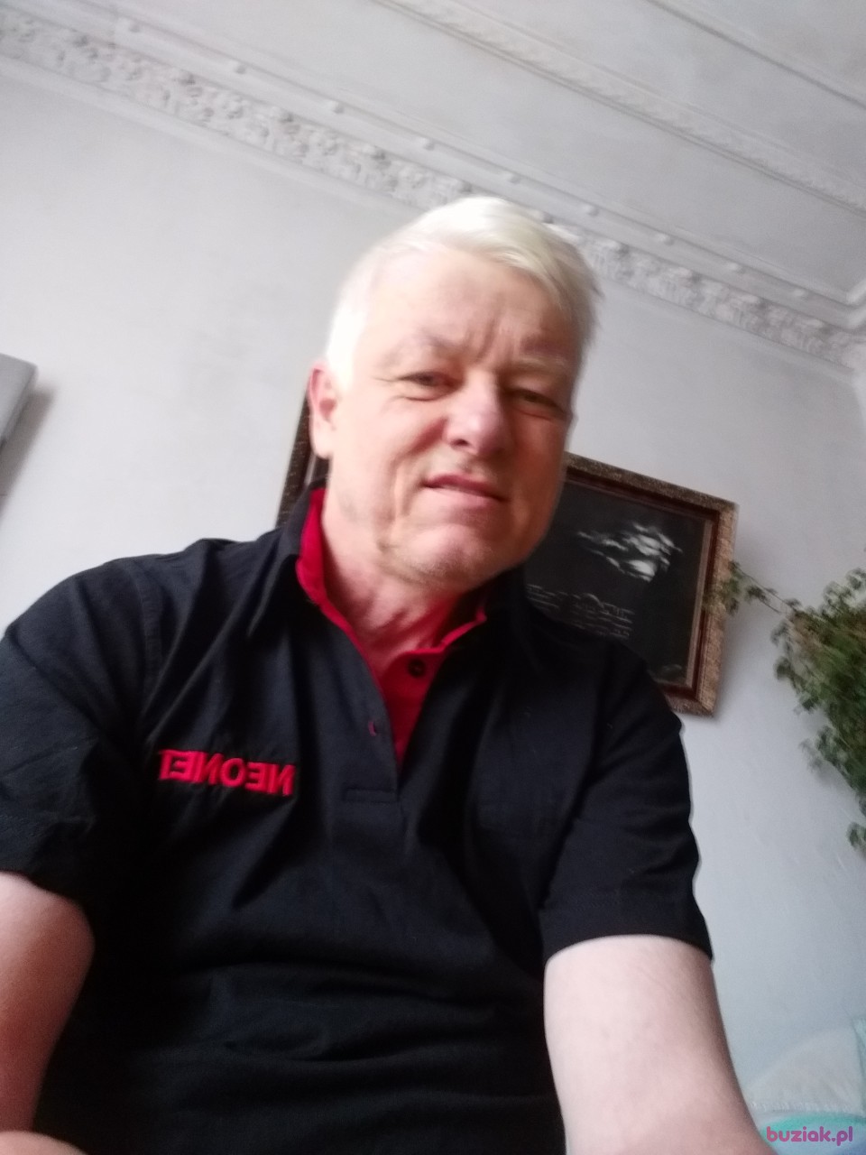Adam, Mężczyzna, 61, Wrocław, Polska, Zdjęcie: 1