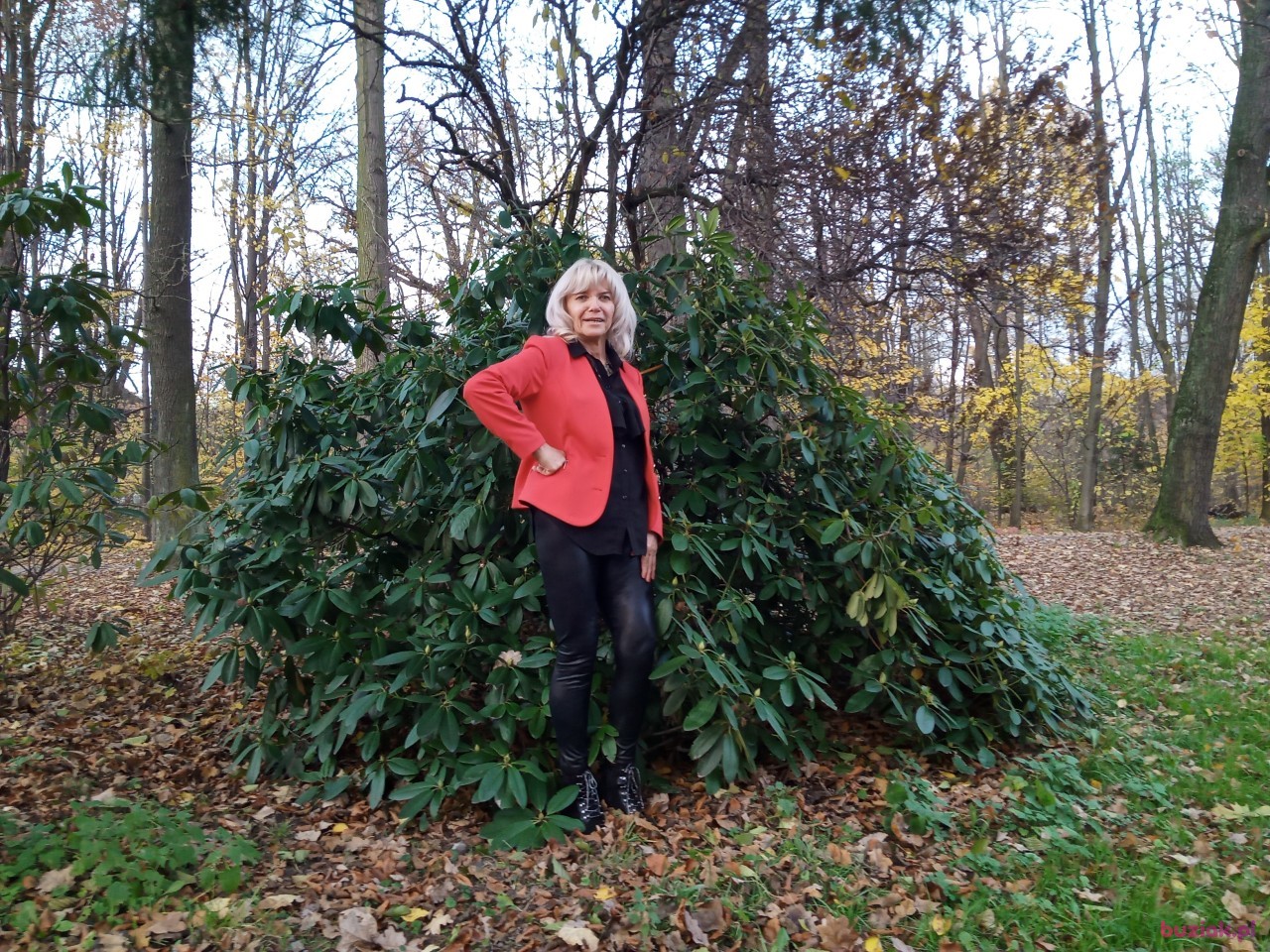 Ulcia, Kobieta, 62, Bielsko-Biała, Polska, Zdjęcie: 14
