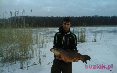 Patryk, Mężczyzna, 25, Witkowo, Polska, Zdjęcie: 3