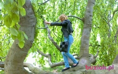 Kasia, Kobieta, 55, Polska, Zdjęcie: 2