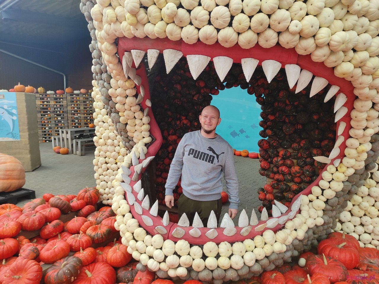 Pawel, Mężczyzna, 32, Amersfoort, Holandia: 1