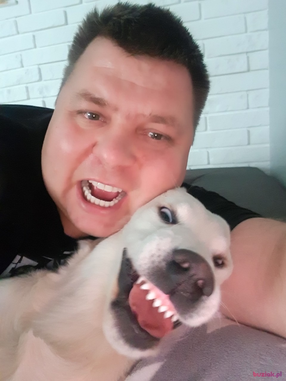 Omer, Mężczyzna, 45, Irlandia, Zdjęcie: 2