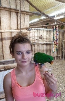 Patrycja , Female, 29, Gdańsk, Polska, Photo: 1