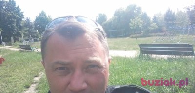 michał, Mężczyzna, 55, Częstochowa, Polska, Zdjęcie: 3
