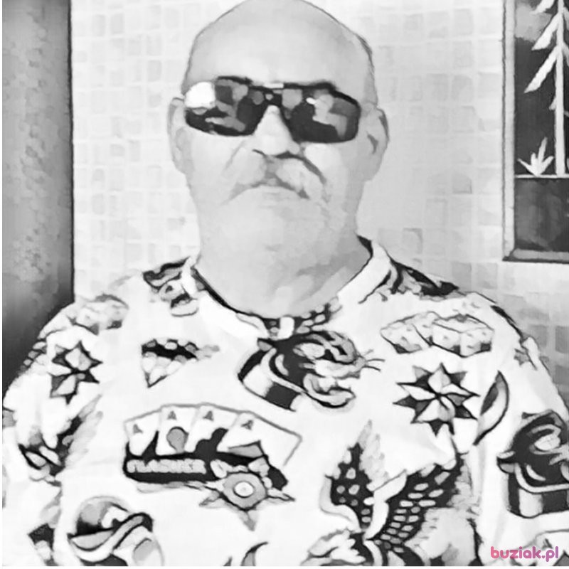 Piotr, Mężczyzna, 60, Chorzów, Polska, Zdjęcie: 2