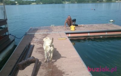 boczek040, Male, 54, Kraków, Polska: 1