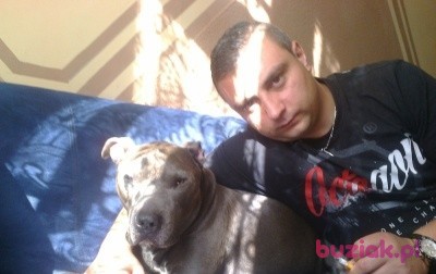 CZUCZU2, Male, 34, Rogoźno, Polska: 1