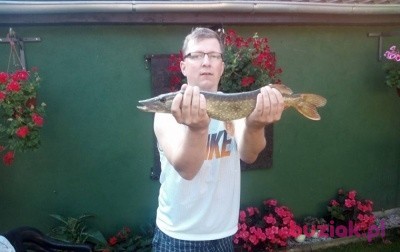Marcin, Male, 38, Niemcy: 1