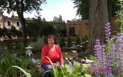 ILONA, Female, 59, Międzyrzecz, Polska: 1