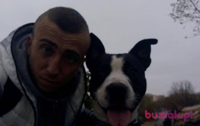 dawid4899, Mężczyzna, 30, Gorzów Wielkopolski, Polska: 1