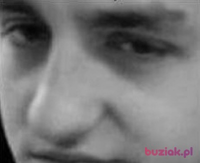 Kamil, Mężczyzna, 28, Holandia, Zdjęcie: 1