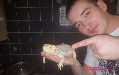 Kamil, Mężczyzna, 36, Rotterdam South Holland Province, Holandia: 1