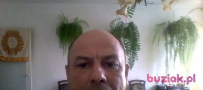 Robert, Male, 52, Nisko, Polska: 1