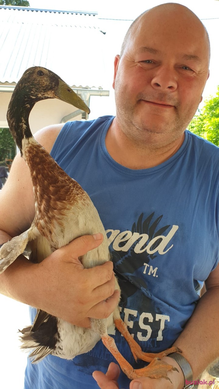 piotr, Male, 54, Gryfów Śląski, Polska, Photo: 2