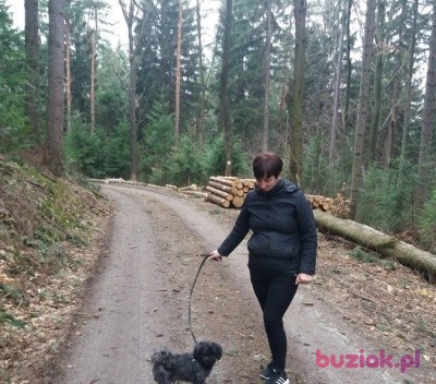 Anna, Kobieta, 51, Polska, Zdjęcie: 3