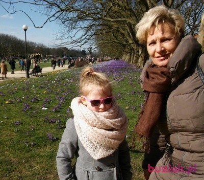 Jolanta, Kobieta, 64, Pleszew, Polska, Zdjęcie: 3