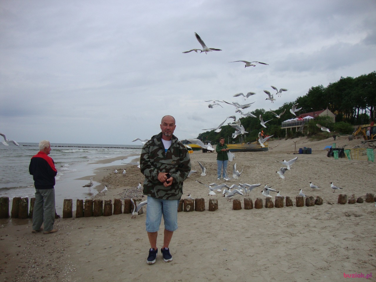 wieslaw, Male, 62, Hannover, Niemcy, Photo: 2