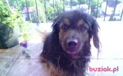 Magda, Female, 27, Rybnik, Polska, Photo: 2