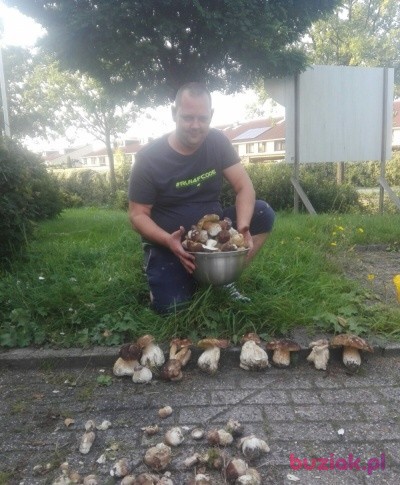 Marcin , Mężczyzna, 41, Konin, Polska: 1