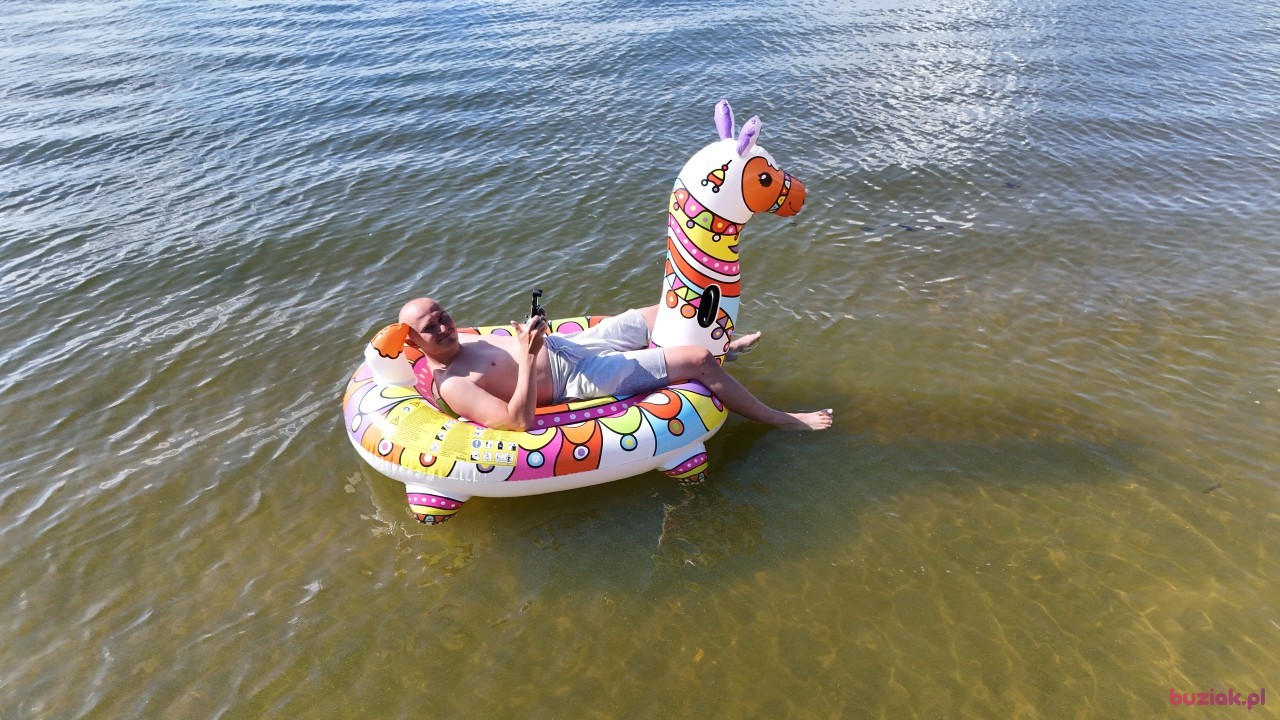 Michał, Male, 37, Zgierz, Polska, Photo: 751