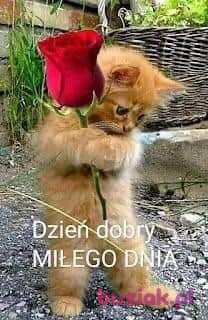 Krzysztof, Mężczyzna, 51, Crosby, Wielka Brytania, Zdjęcie: 2