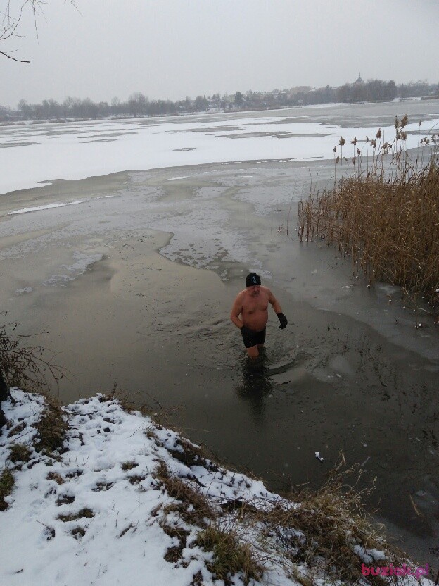 Bogdannnn, Mężczyzna, 65, Jarosław, Polska, Zdjęcie: 2