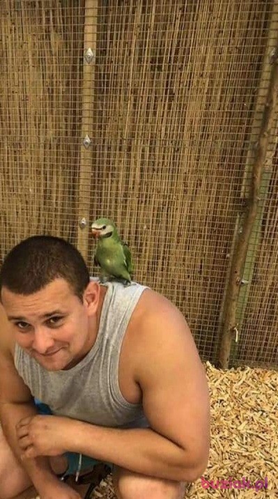 Jaroslaw, Mężczyzna, 43, Grodzisk Mazowiecki, Polska, Zdjęcie: 3
