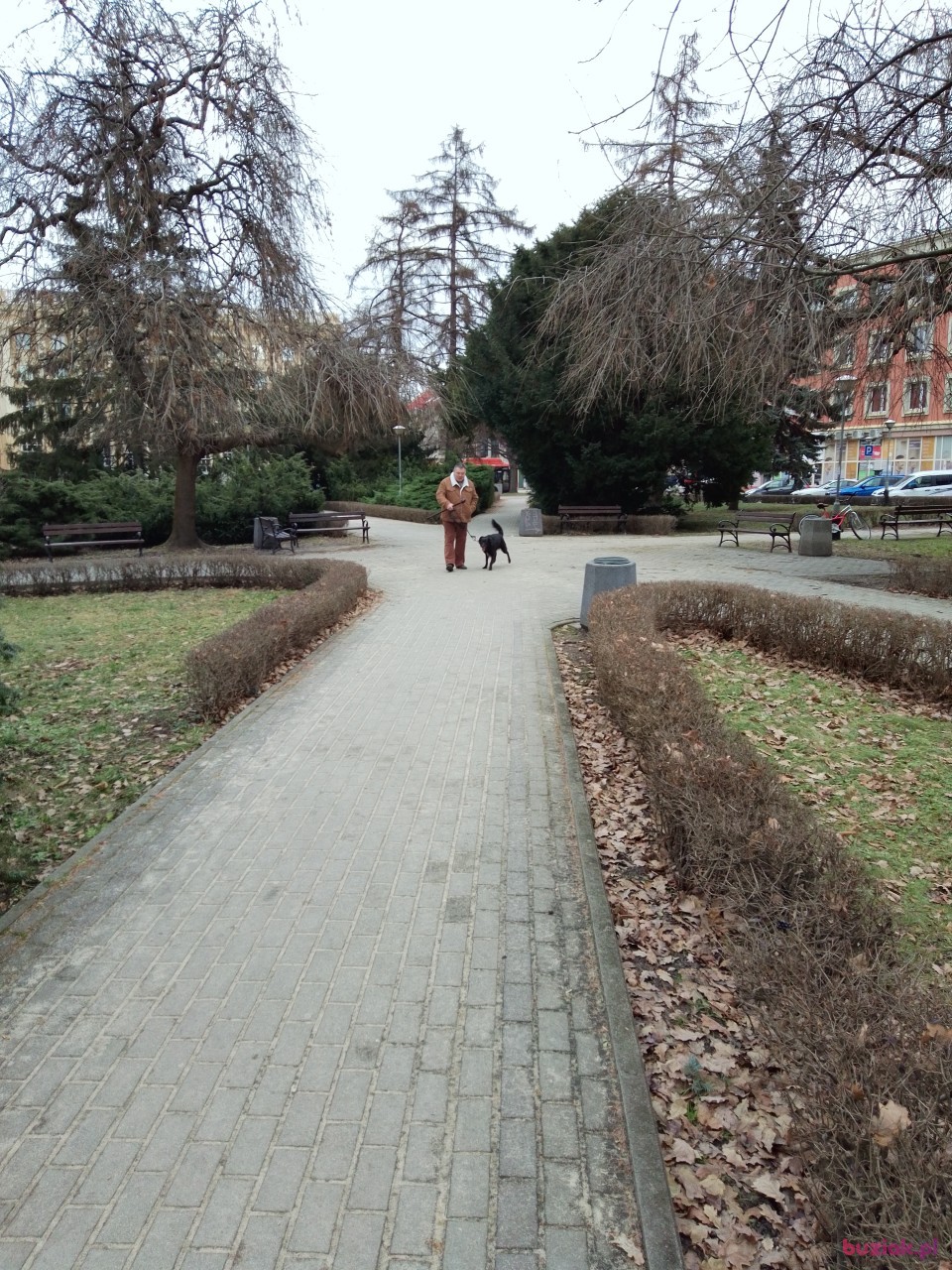 Grzegorz, Male, 65, Rzeszów, Polska, Photo: 8