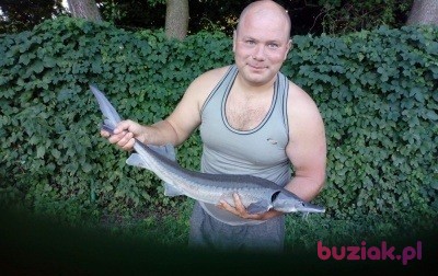 Dawid, Male, 32, Grabów nad Prosną, Polska, Photo: 2