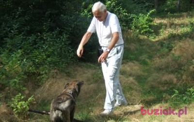 Andrzej, Male, 76, Lublin, Polska: 1