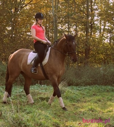 OLA, Female, 28, Warszawa, Polska, Photo: 4